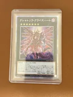 2026年最新】アライズハート プリシクの人気アイテム - メルカリ