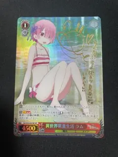 sp ヴァイスシュヴァルツ