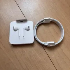 Apple純正品 イヤフォン lightninタイプC 充電ケーブル