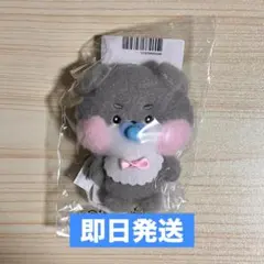 zb1 zeroni ゴヌク ゴニニ BABY PLUSH CHARM