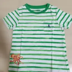 ラルフローレン　半袖Tシャツ　グリーンボーダー　24M
