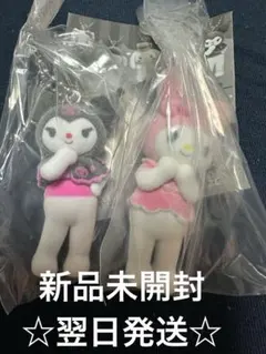 サンリオキャラクターズ ミニチュアチャーム 〜ライブキャラクター〜　2体セット
