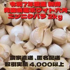 送料無料!! 2026年産 無農薬 バラニンニク 5kg ニンニク 5キロ - メルカリ