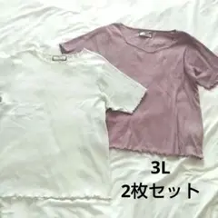 URBANITY 半袖Tシャツ 2枚セット ホワイト くすみピンク