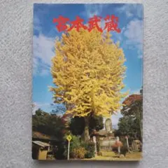宮沢賢治㉓「詩集、春と修羅」名著復刻全集、近代文学館 - メルカリ