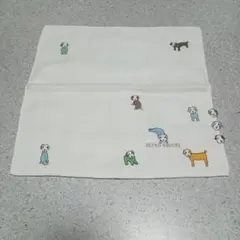 Item thumbnail for item 1df68093-5837-4d42-ac6f-8145787eced1