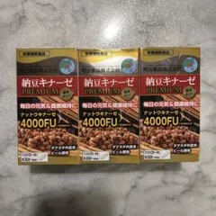 Item thumbnail for item c143e74b-1e17-4719-8fdf-5c55d913bc5a