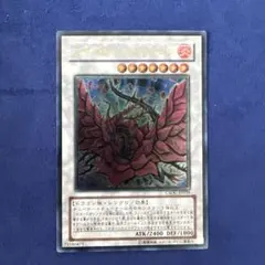 2026年最新】ブラックローズドラゴンの人気アイテム - メルカリ