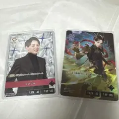 硬質ケース入‼︎名探偵コナン魅惑のマジック【SRPジン×ベルモット