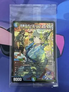 2025年最新】ガイアッシュカイザー 神アートの人気アイテム