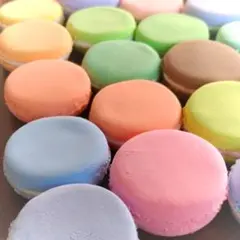 ☆ハンドメイド☆食品サンプル・マカロン１９色セット♪