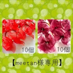 【meetan様専用】