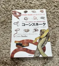 ゆいこ様 リクエスト 2点 まとめ商品