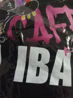 Item thumbnail for item 2b9865db-2933-4756-8ea9-50ed83a8d0e1