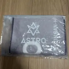 2026年最新】astro スローガンの人気アイテム - メルカリ