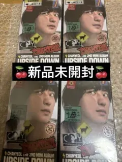 EXO チャニョル　upside down selfie バージョン　セット