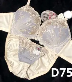 C65 ゴージャスビビットローズブラジャー&バック透けフルバック 