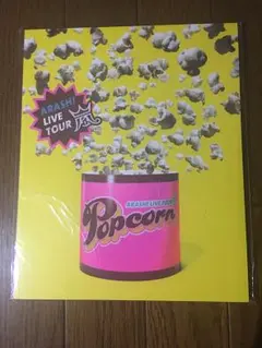 嵐☆ ARASHI LIVE TOUR Popcorn☆パンフレット 美品
