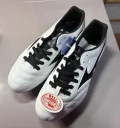 Item thumbnail for item 679425e6-02da-403a-b85e-71fe27e2809c