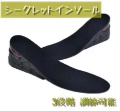 3段階 調節可能 黒 インソール シークレット 中敷き エアクッション