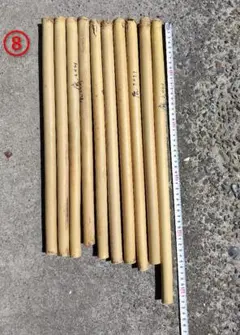 2025年最新】篠竹 女竹の人気アイテム - メルカリ