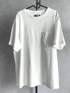 超美品ザノースフェイスパープルレーベルTHE NORTH FACE PURPLE