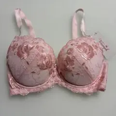 新品未使用 トリンプ ブラ E40