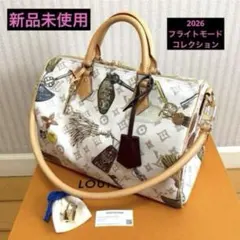 ルイヴィトン　ミニチャーム　サングラス付属品　新品未使用 2026年最新】ルイヴィトン サングラス チャームの人気アイテム - メルカリ