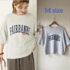 AMERICAN HOLIC★アソートロゴルーズドルマンプルオーバー★M★美品