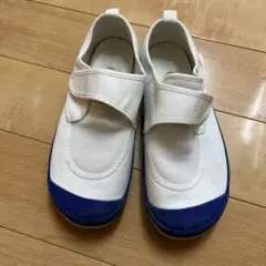 教育パワーシューズ　青　上履き・体育館シューズス　225