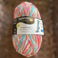 ⭐︎1676. schachenmary 海外ソックヤーン　中細