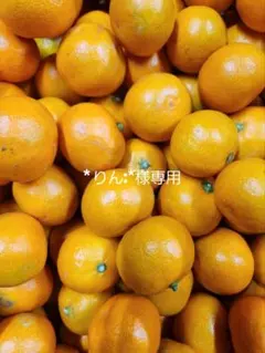 * りん:*様専用ページです