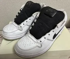 NIKE SB ポールロドリゲス ズーム エア LOW