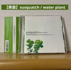 【廃盤】susquatch / water plant