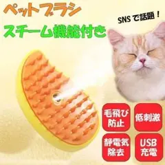 スチームブラシ ペットブラシ 犬 猫 抜け毛 USB充電 マッサージ イエロー