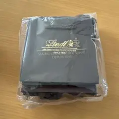 Lindt ショッピングバッグ 10枚セット　小型 リンツ　紙袋　未使用