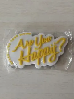嵐　歴代ツアーロゴマグネット　Are You Happy?