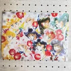 セーラームーン　クリアファイル　プレミアムフレームセット