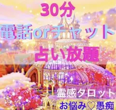 ⭐️電話占いorチャット30分♡霊感タロット　占い放題❣️