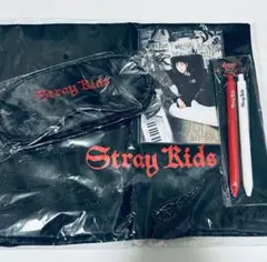StrayKids dominATE ヨーロッパ vip 特典 グッズ