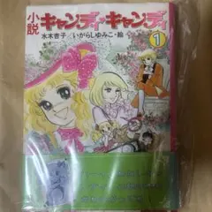 キャンディキャンディ 小説