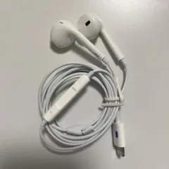 新品　Apple 純正 イヤホン アップル イヤフォン ライトニング 正規品