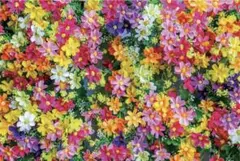 (ｏ'∀'人)様 リクエスト 2点 まとめ商品