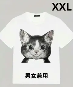 個性的な猫のイラストＴシャツ 男女兼用ＸＬ〜３Ｌ 猫柄Ｔ 個性的な猫Ｔシャツ