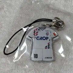 【まとめ買いOK】ファジアーノ岡山　田上大地　ストラップキーホルダー