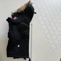 Item thumbnail for item e8d3fb88-471d-4f91-aab6-9ca9ef9c221a