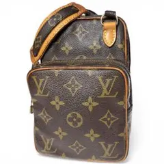 美品 LOUIS VUITTON ミニアマゾン a1110