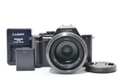 2026年最新】panasonic dmc-fz10の人気アイテム - メルカリ