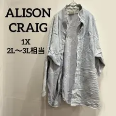 ALISON CRAIG ライトブルー トップス 【1X】2L～3L 長袖