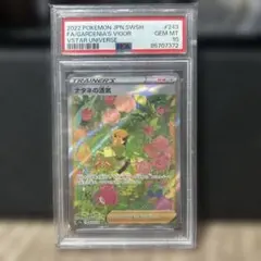 PSA10 ナタネの活気 SAR S12a VSTARユニバース 243/172 - メルカリ